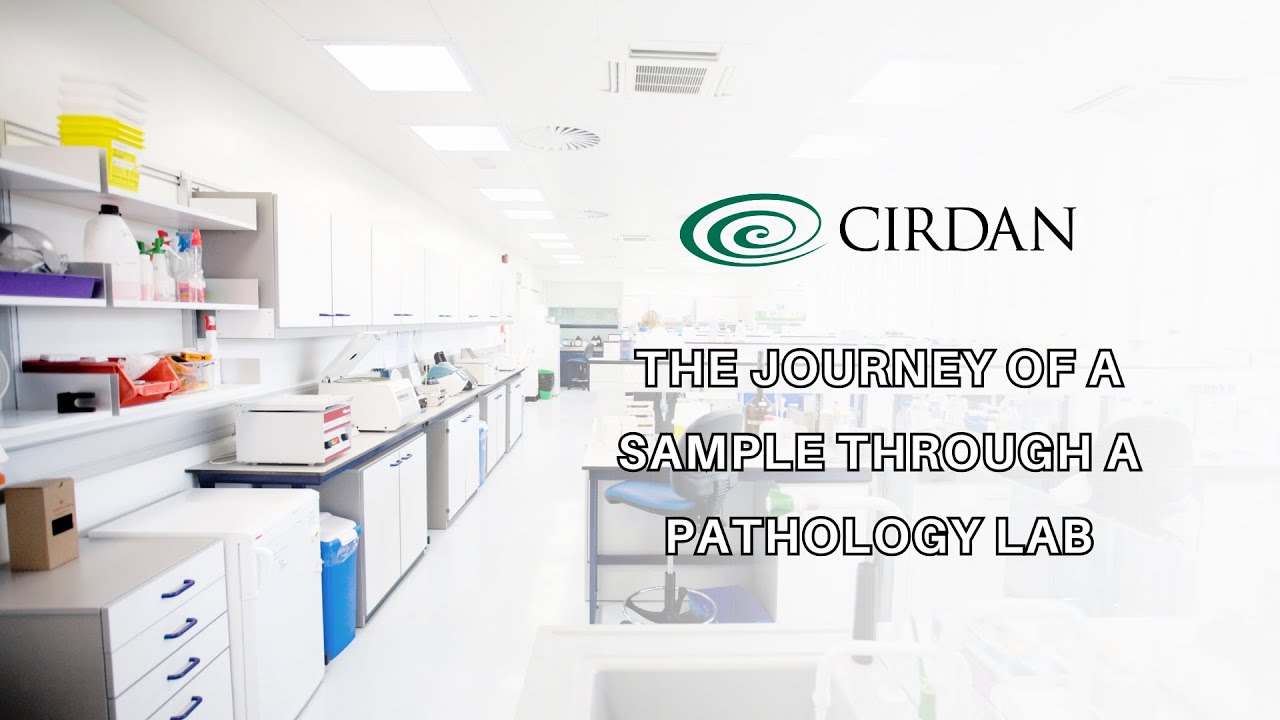 What Happens in a Lab? The Journey of a Sample Through a Pathology Lab, Explained