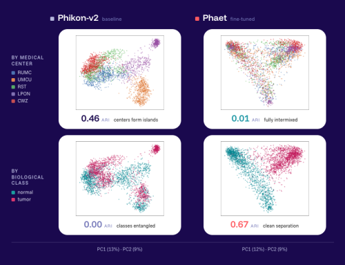 Meet Phaet and Mascaret: two pathology foundation models built to generalize across labs