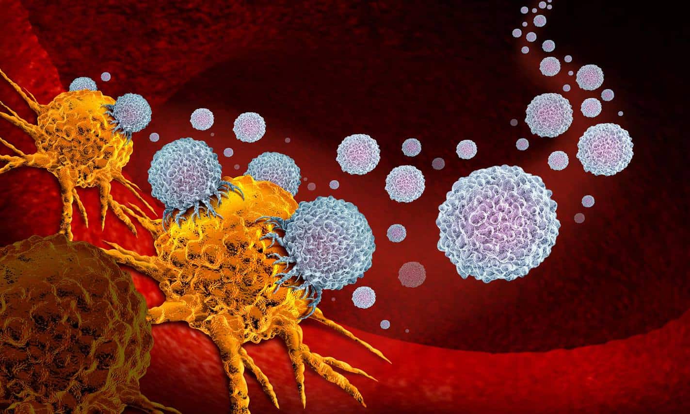 immunotherapy_optimized