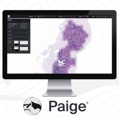 PAIGE DIGITAL PATHOLOGY VIEWER
