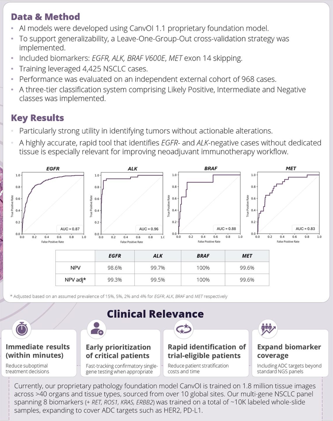 Imagene study PathNews