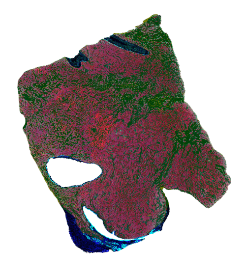 Ultivue - Digital Pathology