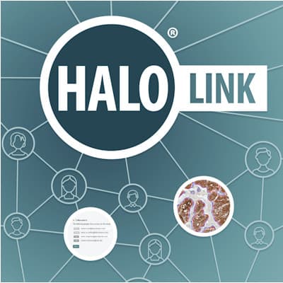 Indica labs - Digital Pathology