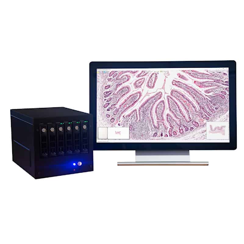 Objective Imaging - Digital Pathology