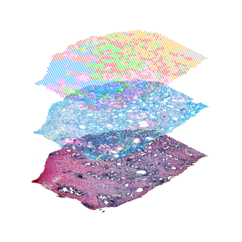10X Genomics - Pathology News