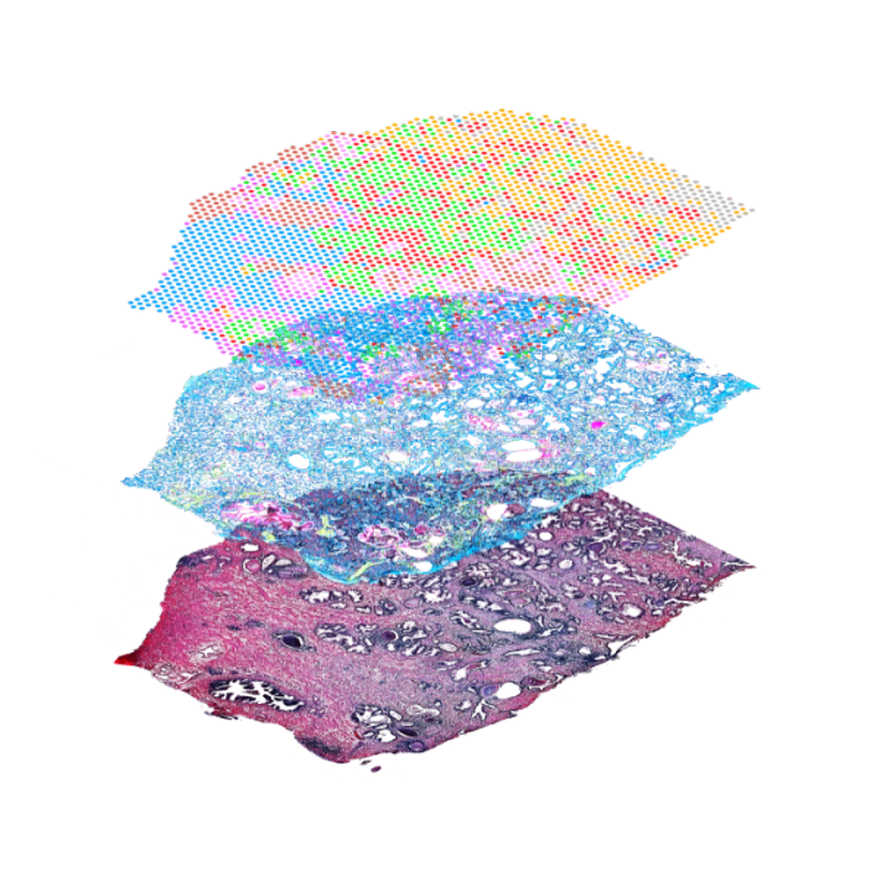 10X Genomics - Pathology News