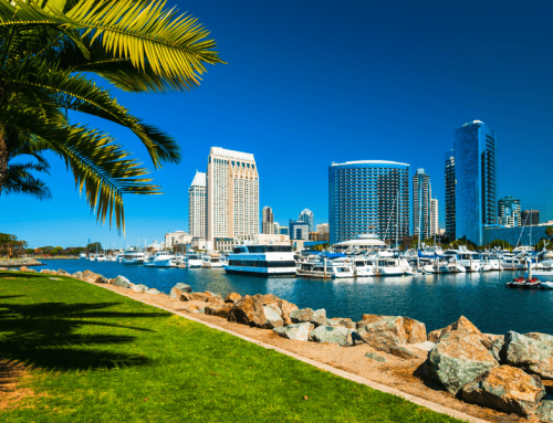 Digital Pathology & AI Congress: USA | San Diego | May 7-8