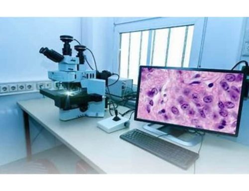 Researchers Customize AI Tools for Digital Pathology