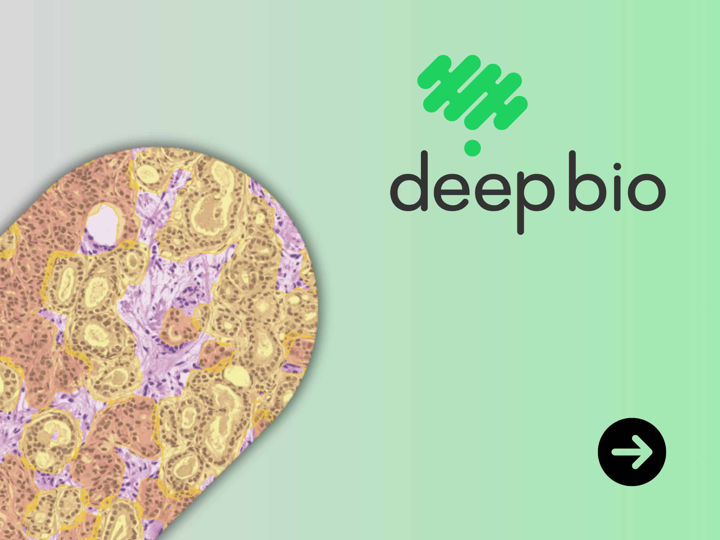 Deep Bio, Digital Pathology
