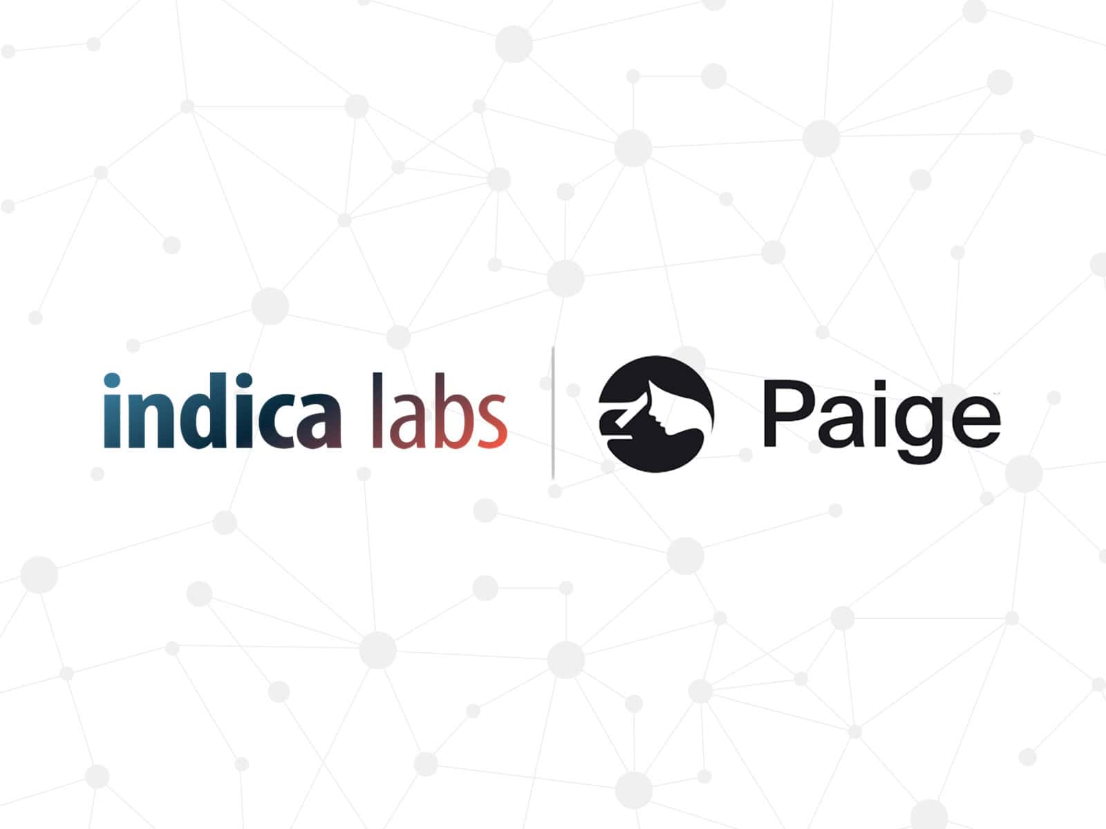 Indica Labs and Paige Forge Strategic Partnership to Expand Integrated AI for Anatomic Pathology Labs