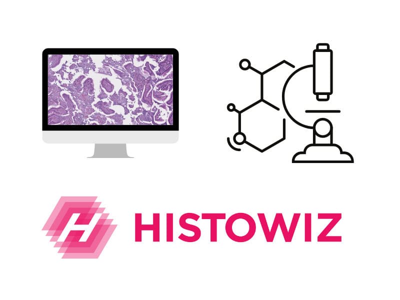 Career, Histowiz