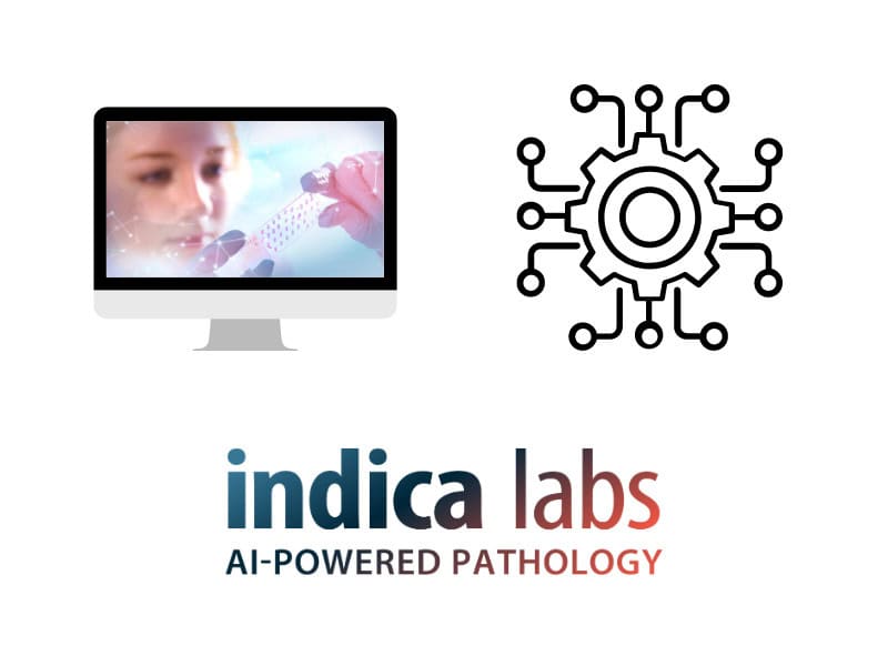 Career, Indica Labs