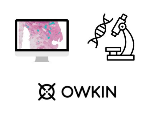 Systems Biologist