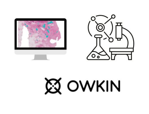 Senior / Principal Scientist – Fixed Term Contract