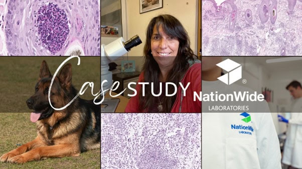 Case of the Month, NationWide Labs