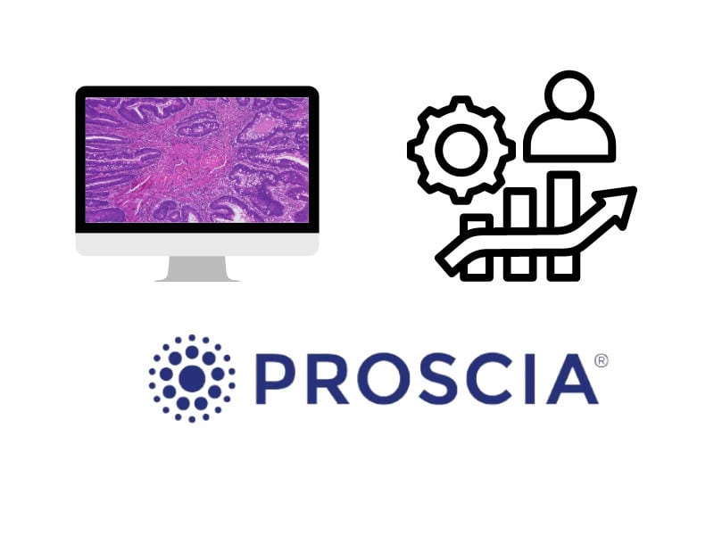 Career, Proscia