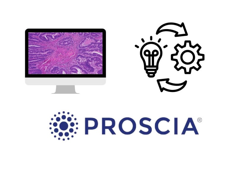 Career, Proscia