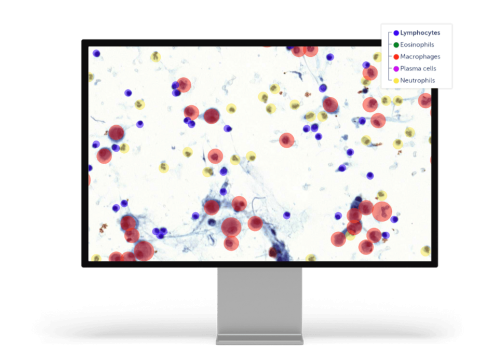 Veterinary Diagnostic AI Applications example