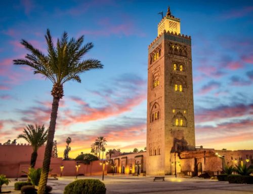 The 1st African Congress on Digital Pathology | 18-20 April 2025 | Marrakech, Morocco