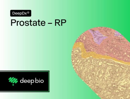 Deep Bio’s AI Algorithm Demonstrates Significant Prognostic Advancements in Prostate Cancer Study