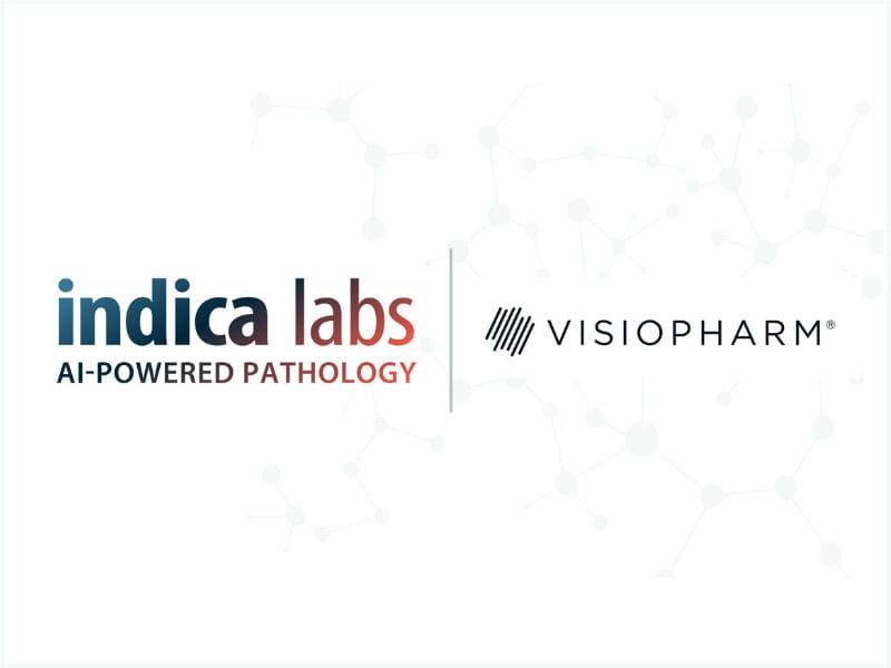 Indica Featured (800 x 600 px) (1)
