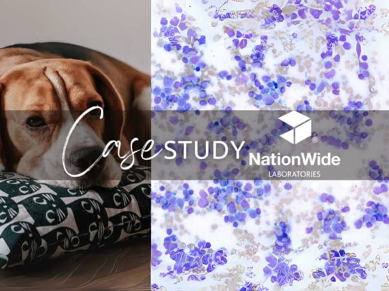 NWL case of the month May 2025