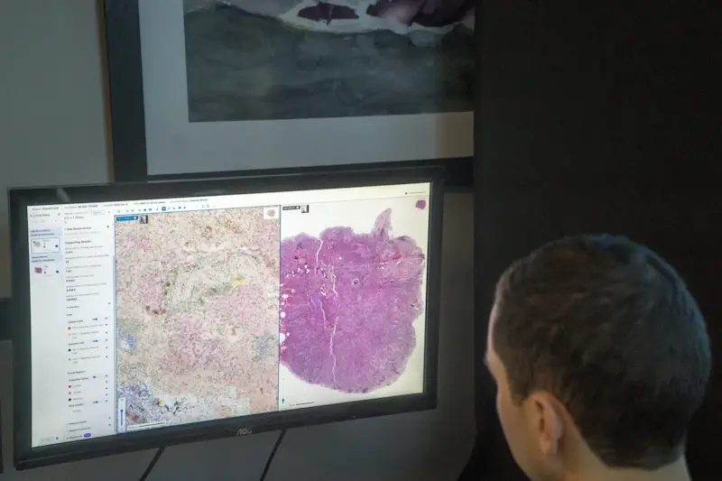 Aisight demo pathai 800