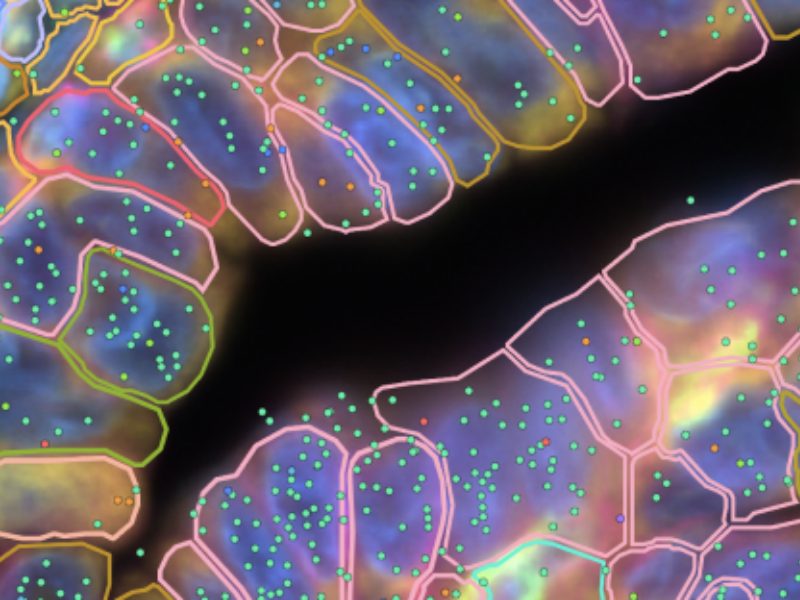 10x Genomics EMEA webinar series
