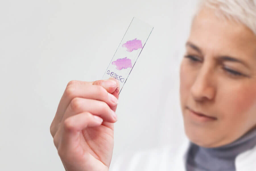 Owkin Breast Cancer Diagnosis