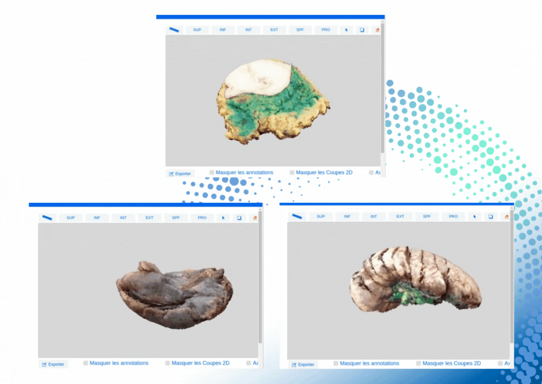 Gift_Metrology
