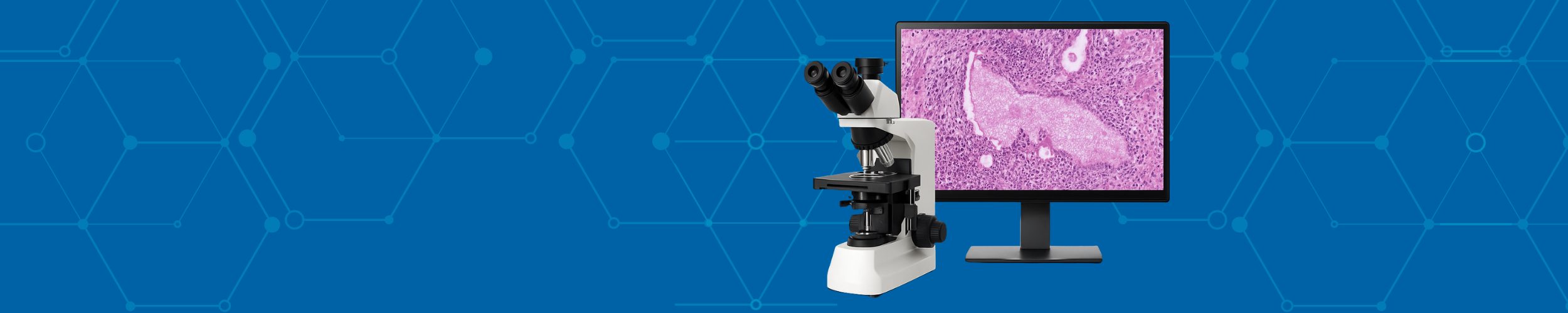 Democratizing Cancer Diagnostics: Low-Cost Digital Pathology Rivals High-End Systems