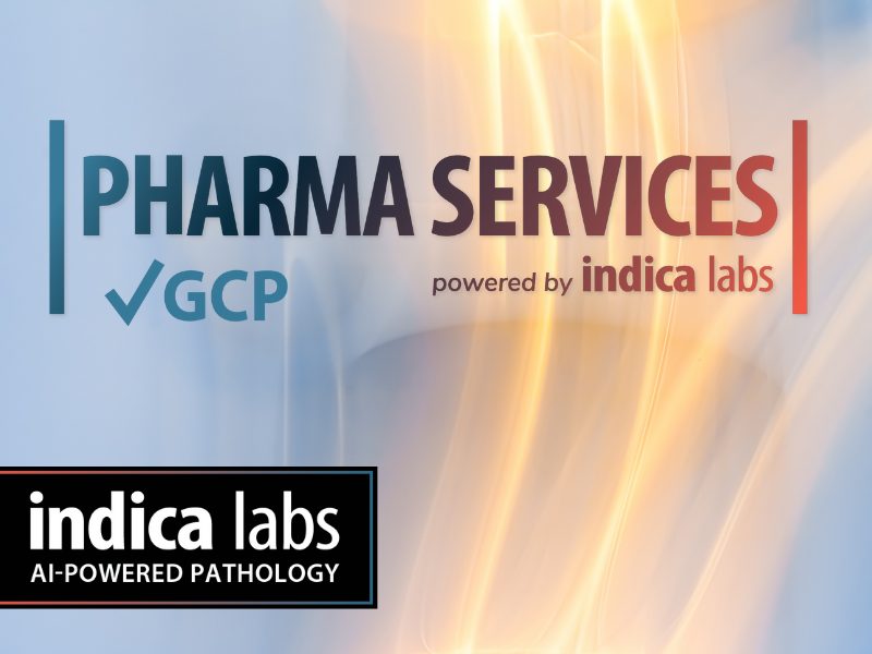 Indica labs pharma services