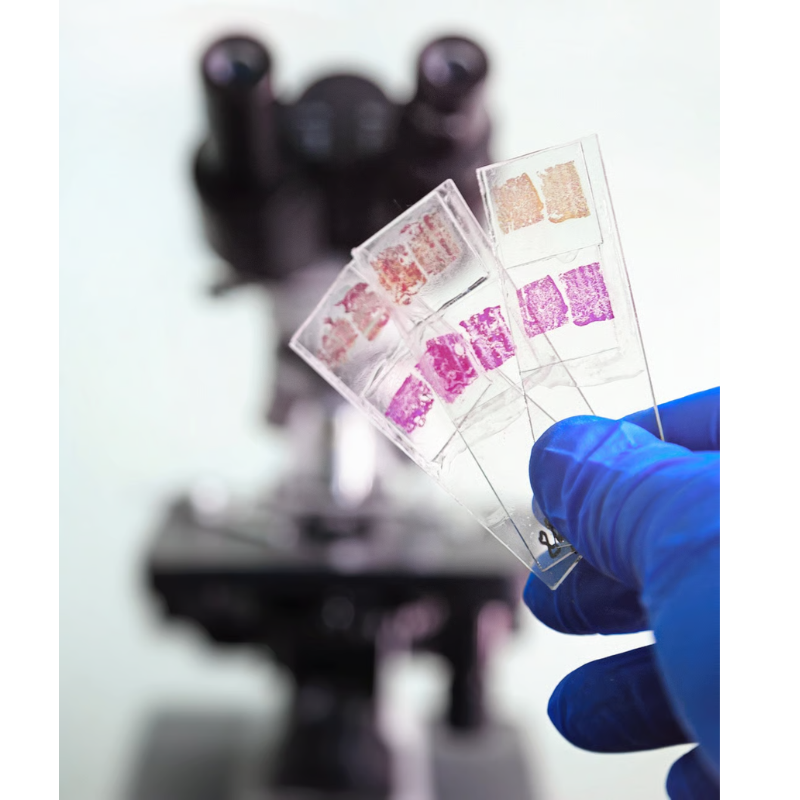 Today's challenges in pathology