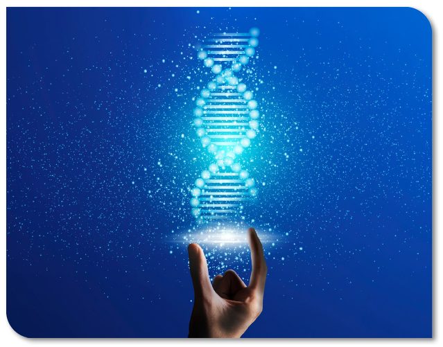 Molecular Informatics