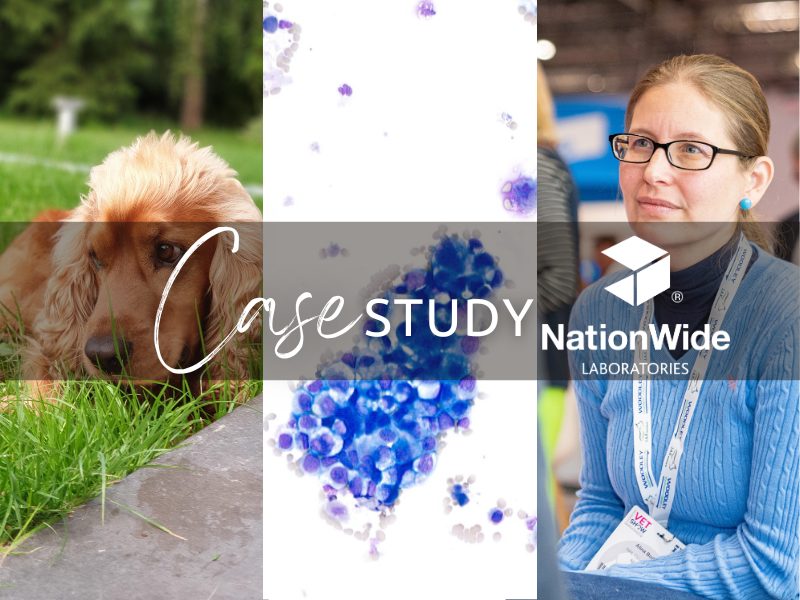Case of the Month | July 2025 | Evaluating a Prostatic Abnormality in a Cocker Spaniel