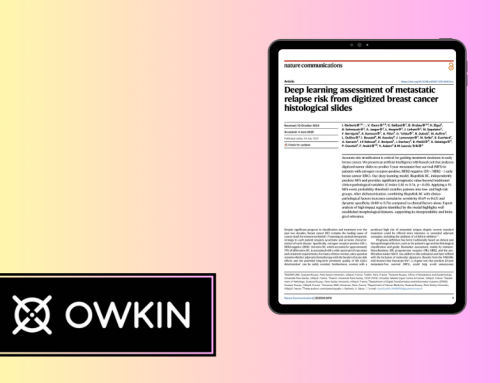Deep Learning Assessment of Metastatic Relapse Risk From Digitized Breast Cancer Histological Slides