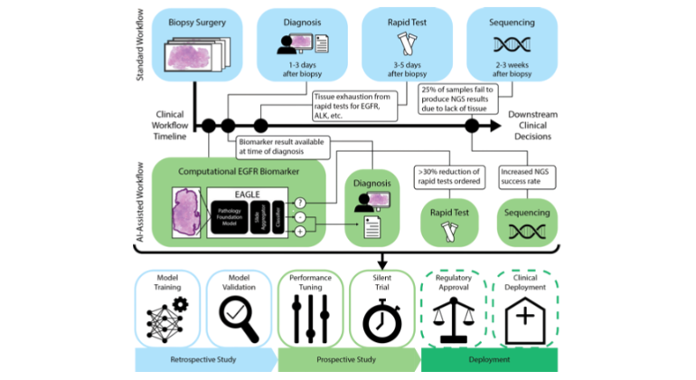 Study Shows How AI Could Help Pathologists Match Cancer Patients to the Right Treatments—Faster and More Efficiently. An article from Mount Sinai.