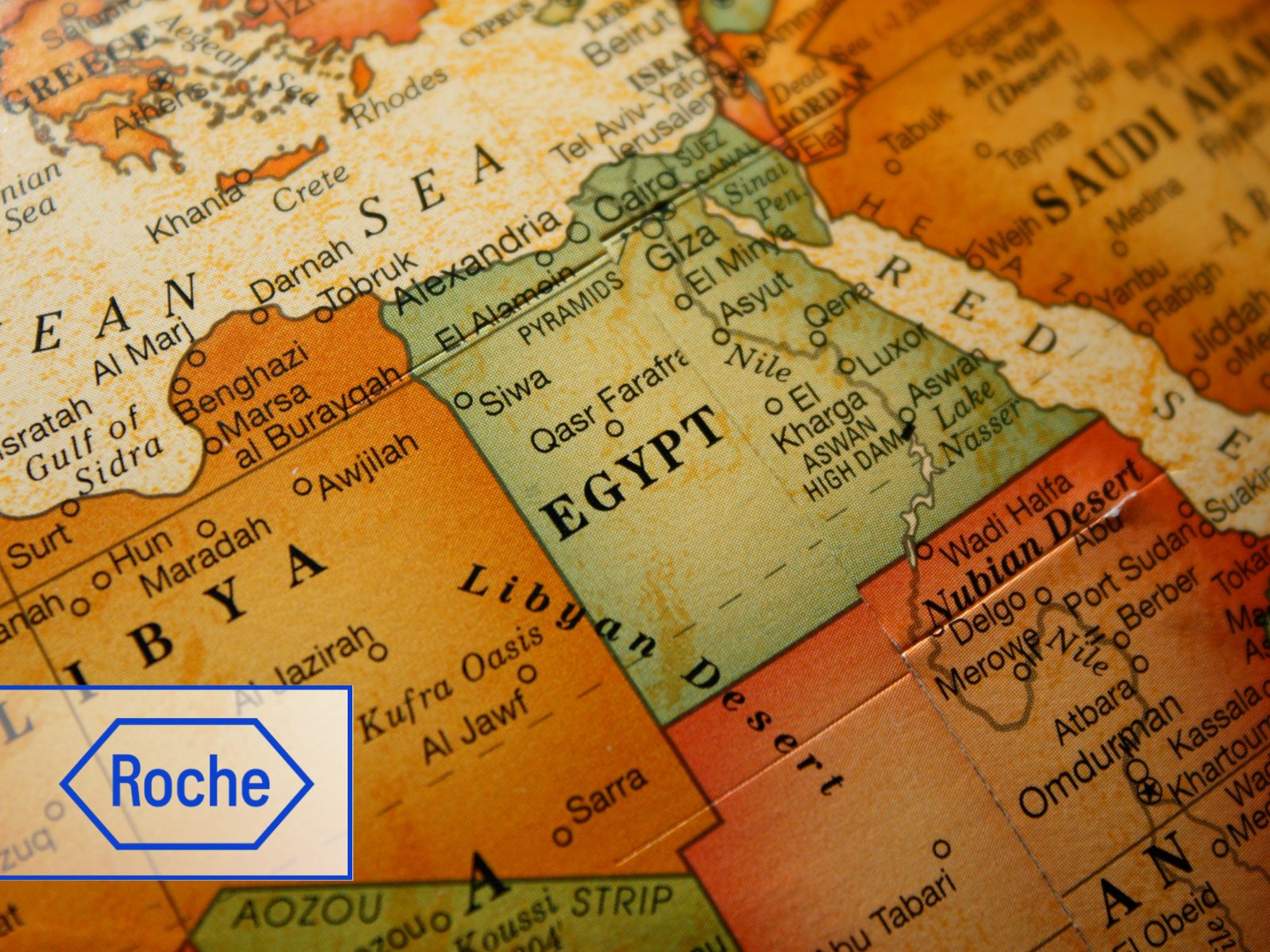 Roche helps Egypt expand digital pathology and AI diagnostics