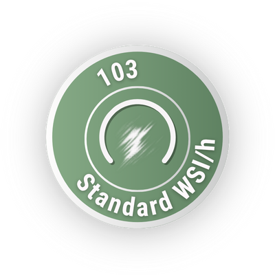 103 standard wsih
