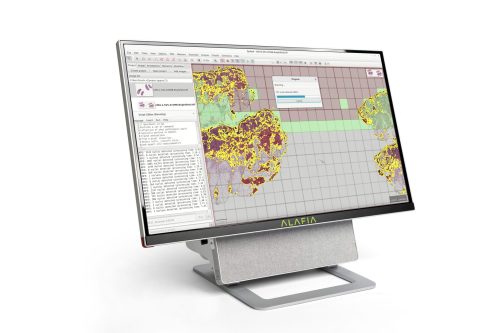 Alafia aivas supercomputer digital pathology example with qupath