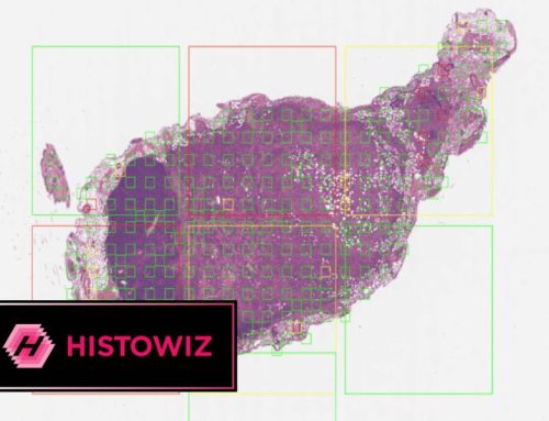 OriGene and HistoWiz Announce New Integration to Streamline Antibody Access Through PathologyMap™