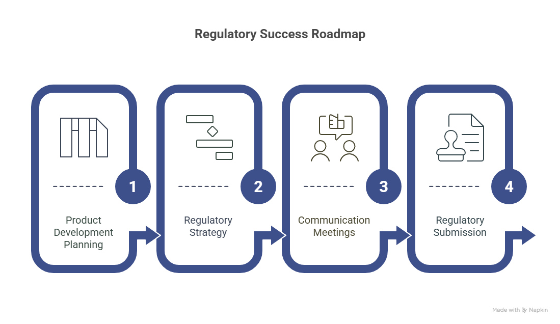 Your Roadmap to Regulatory Success - visual selection