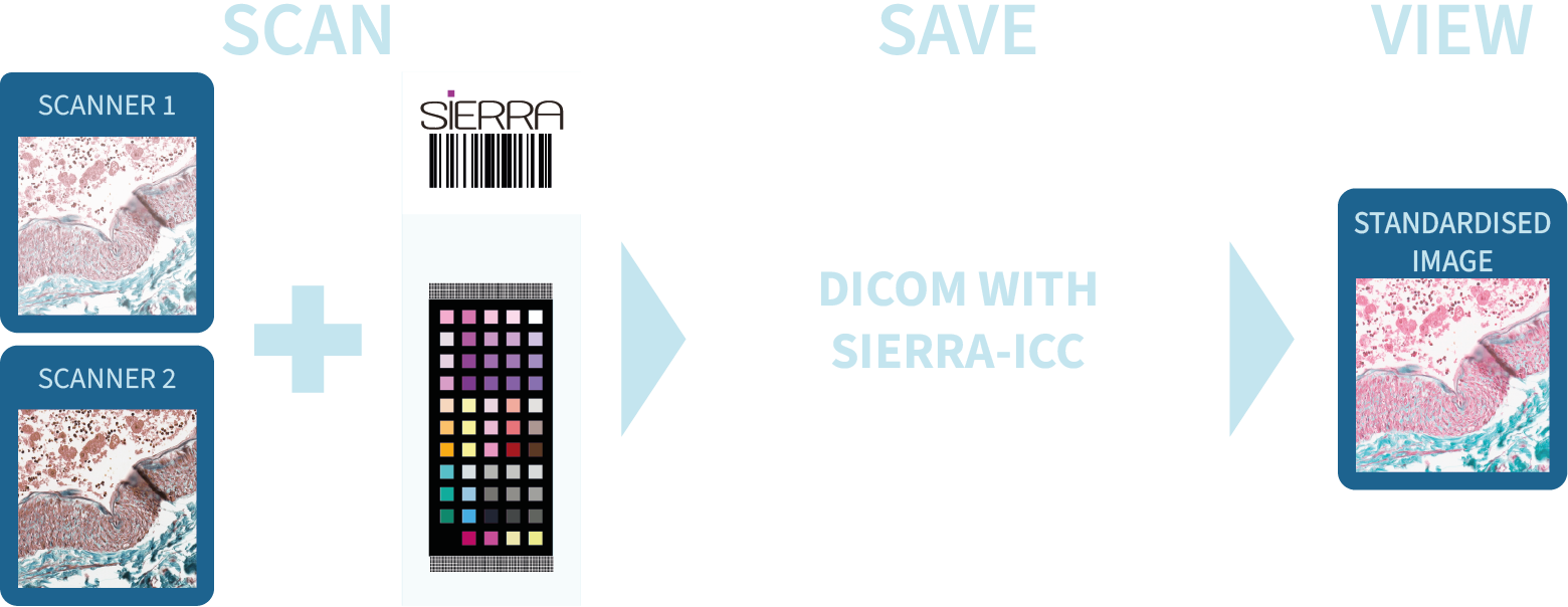 DICOM process v0.4-01