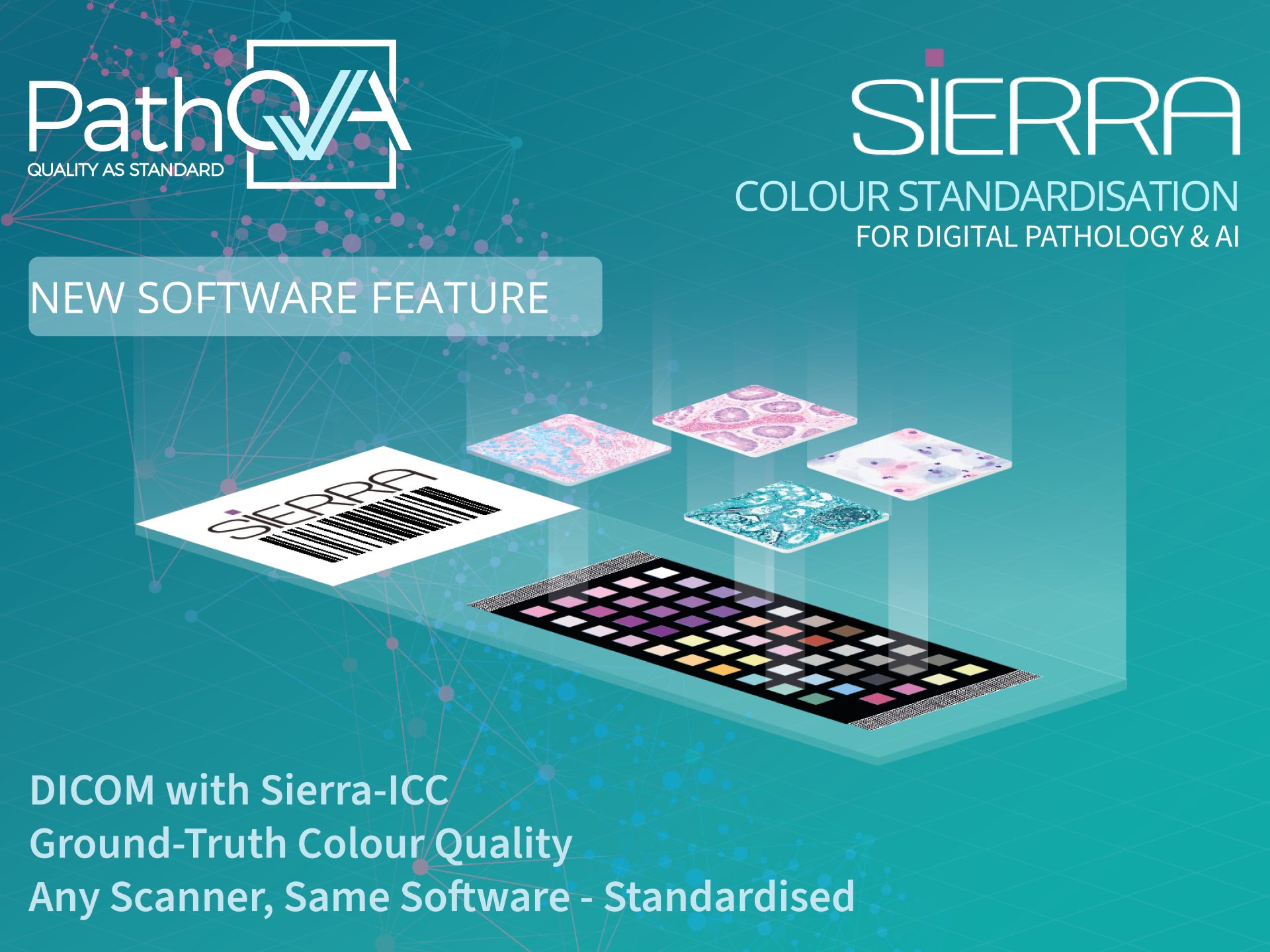 PathQA’s New Launch: Convert Any WSI to DICOM with Standardised Colour