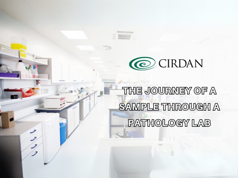 The journey of a sample through a pathology lab