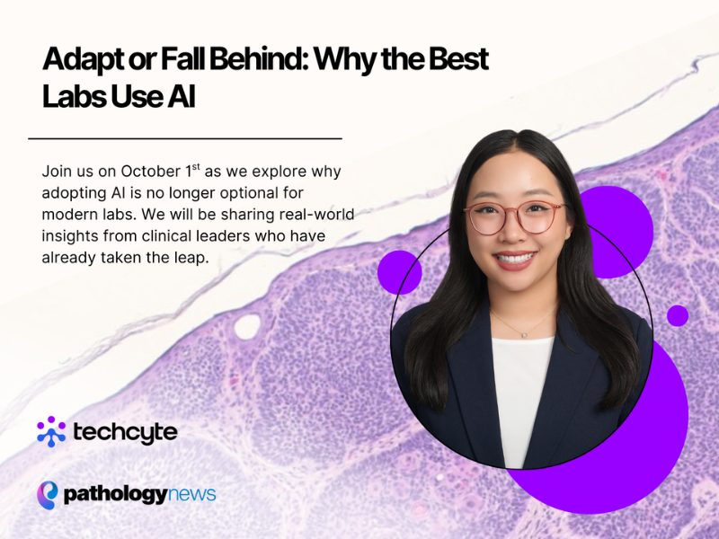 Adapt or fall behind why the best labs use ai
