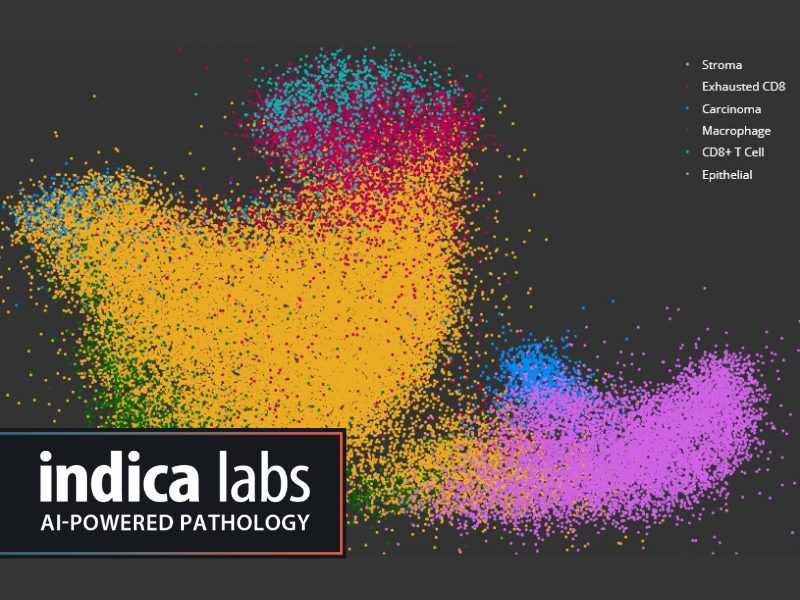 Indica labs new high dimensional analysis module