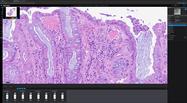 PathPresenter’s Clinical Viewer now carries both FDA 510(k) clearance and CE-IVDR certification.