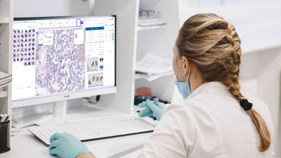 Ai and pathologist small image