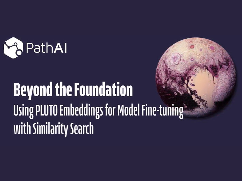 Beyond the foundation using pluto embeddings for model fine tuning with similarity search